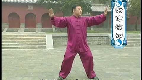 張東武 Zhang Dongwu - 老架一路 Laojia Yilu (Old Frame First Form) 5