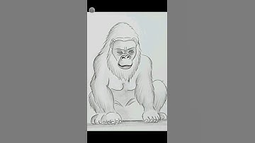 Easy pencil sketch | Gorilla #drawing #PencilSketch