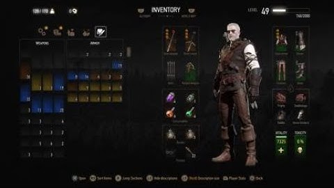Witcher 3 alchemy build
