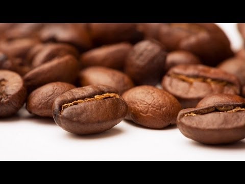 Видео: Maragogype - непредсказуем кафе мутант
