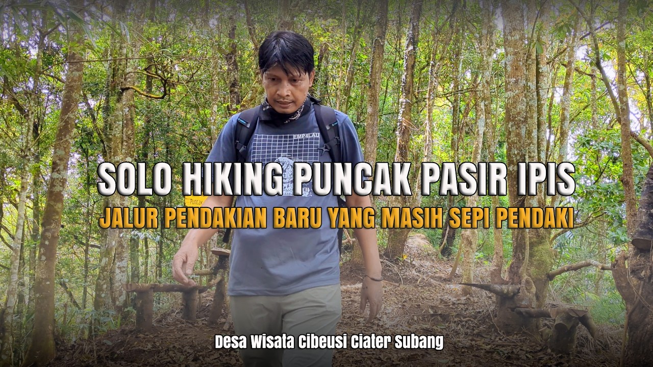 Puncak Pasir Ipis 1.307 Mdpl, Jalur Pendakian Baru yang masih Sepi Pendaki