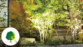 木のひかり アップライティングのテクニック by hikarenovation