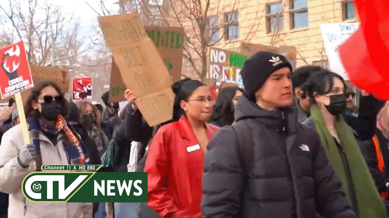 CSU Protest for Undocumented Students - CTV News