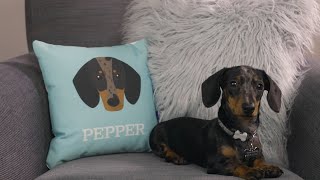 Personalised Dog Cushions | Yappy.com screenshot 4