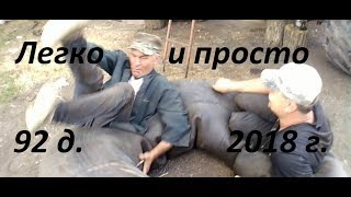 Когда все даже очень просто!