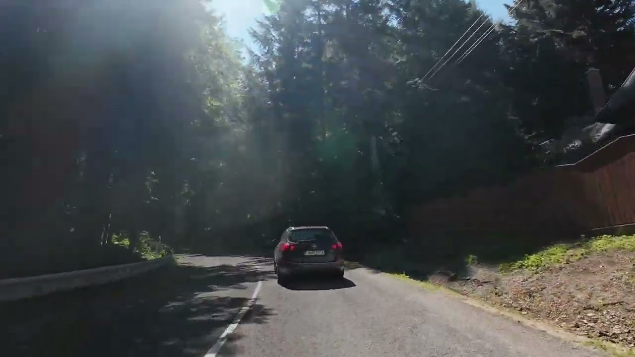 Multistrada 950s - 27.7.2024