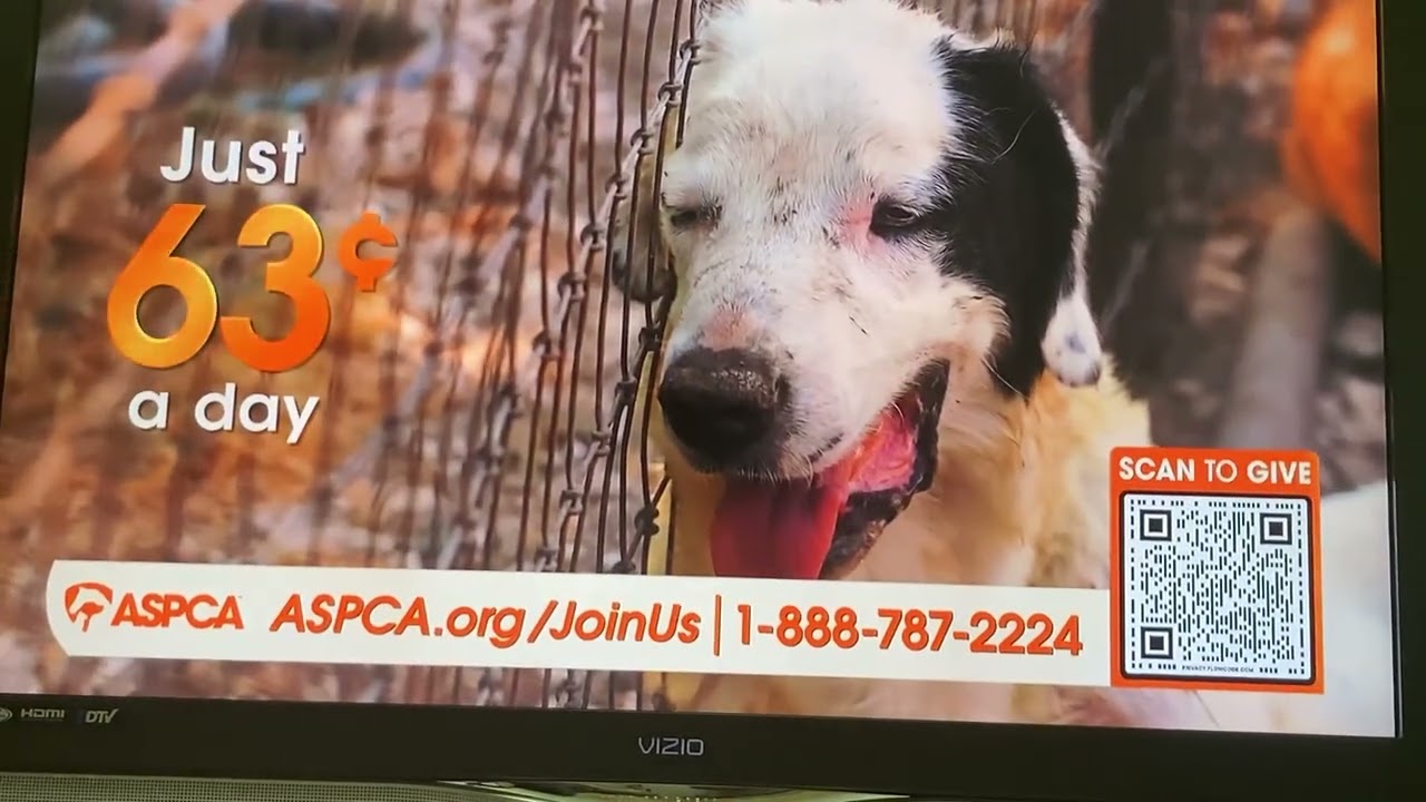 ASPCA Commercial (2025)