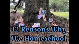 12 Reasons Why We Homeschool