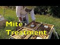 Mite Treatment 2023