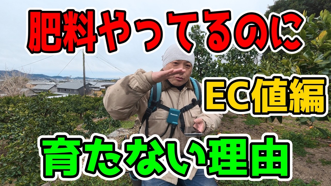 【肥料やり過ぎ注意】EC値と塩基濃度の真実｜Soil EC Explained Simply