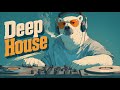 Chill House Beats @ DJ Bear’s Den | Funky House | Energizing Vibes Mix