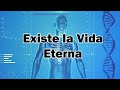 EXISTE LA VIDA ETERNA 🌳