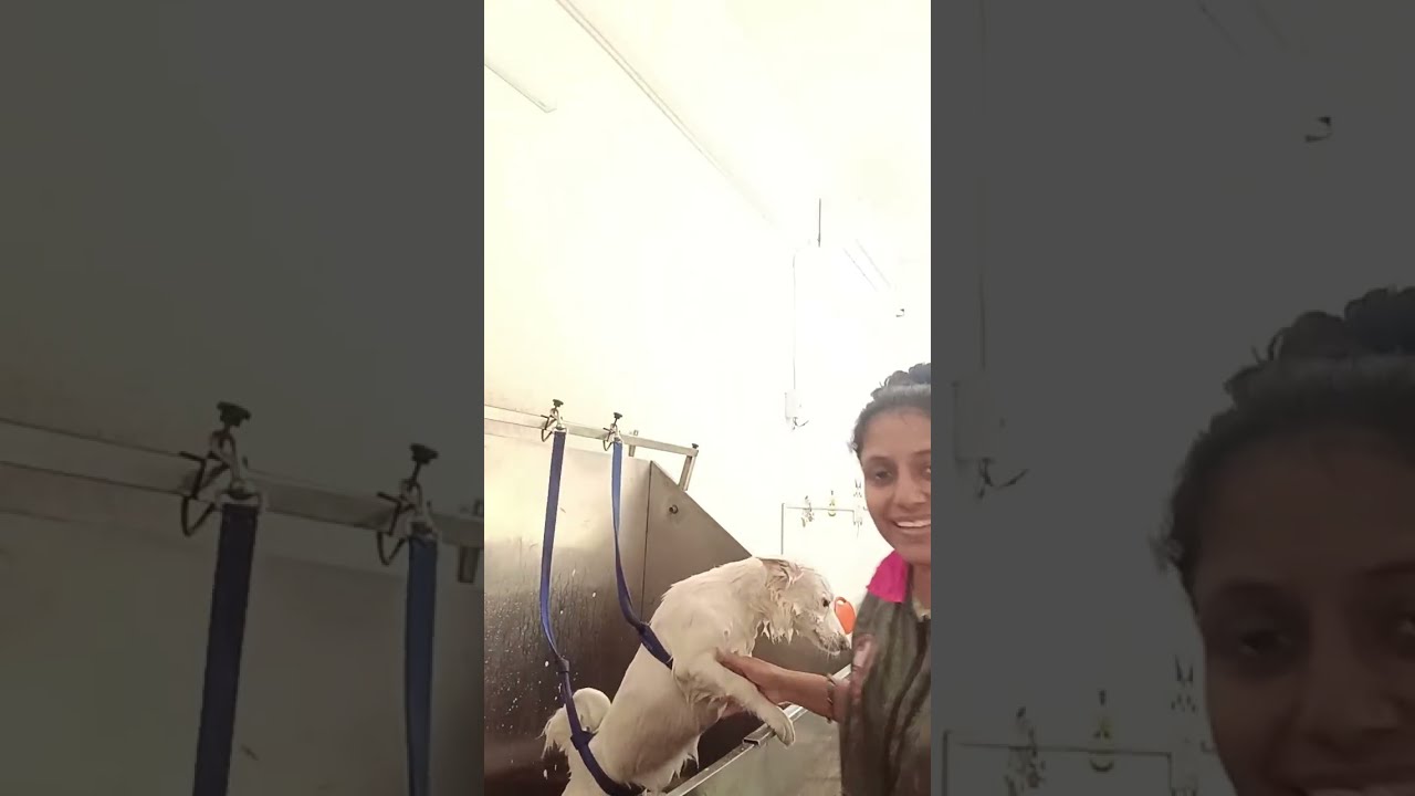 Classy Trimz is live