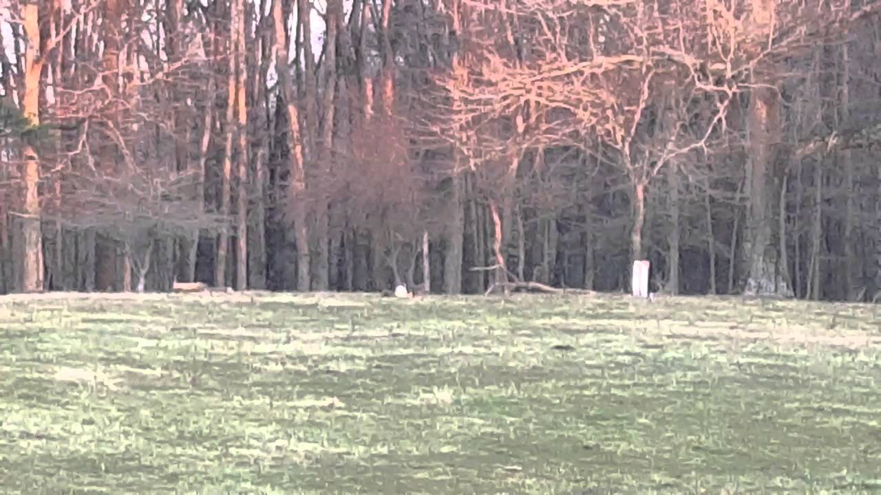 4 pounds of sonic boom tannerite