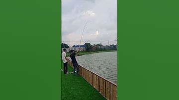 Hồ Huyện Đội Hóc Môn | Dã Ngoại Cùng Lan