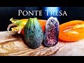 Fig tasting Ponte Tresa, Grosse Monstrueuse JFE Black Madeira 2018