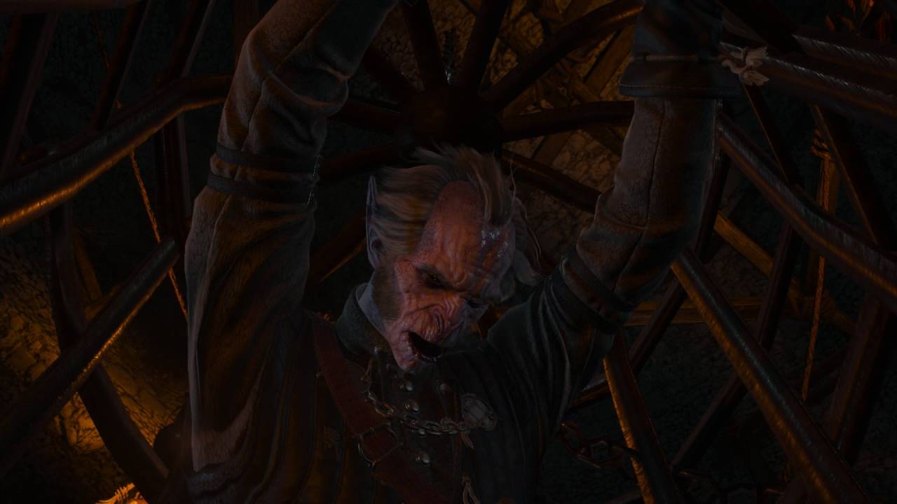 Witcher 3 Transformation