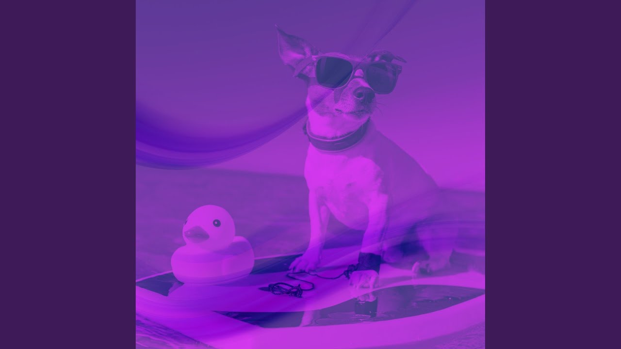 Relaxed Music for Relaxed Pooch