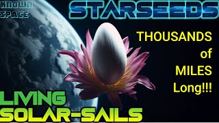 Starseeds - Exploring Known Space