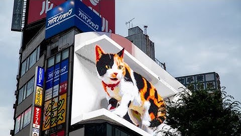 Billboard LED 3D siêu ấn tượng với hình ảnh chú mèo khổng lồ "lao ra" từ màn hình