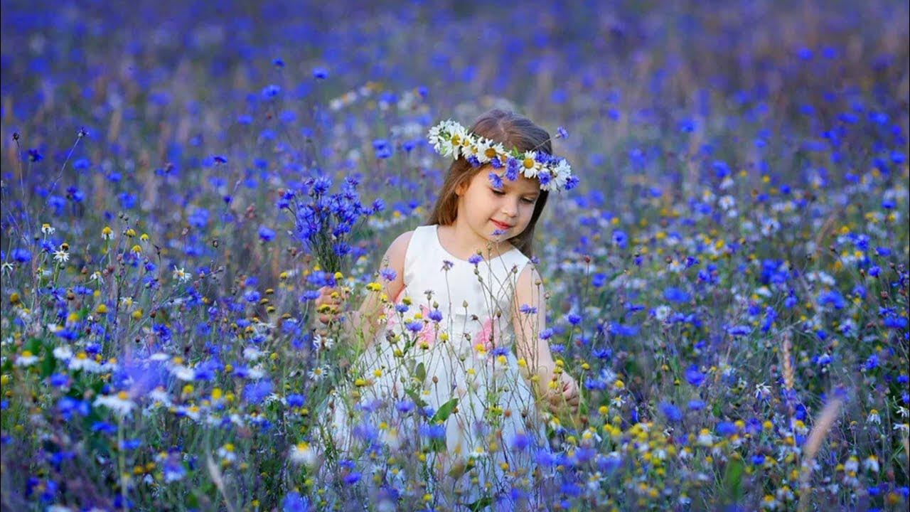 девочки васильки. девочки васильки. дети в васильковом поле. фотосессия в васильковом поле. девочки васильки.
