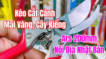 [ Tập 2146 ] Kéo cắt cành mai vàng, cây kiểng Ars VS8 200mm nội địa Nhật Bản