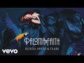 Paloma Faith - Blood Sweat & Tears (Official Audio)