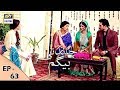 Watch Chandni Begum Episode 63 - 4th January 2018 - ARY Digital Drama Online In Hd