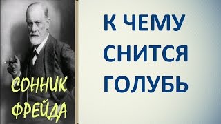 видео Сонник: к чему снится белый голубь, видеть во сне белых голубей