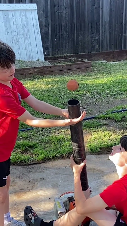 Fun with the Leaf Blower