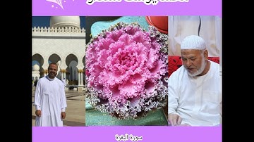 سورة البقرة من الاية 271 : 286 (اخر السورة ) برواية حفص عن عاصم