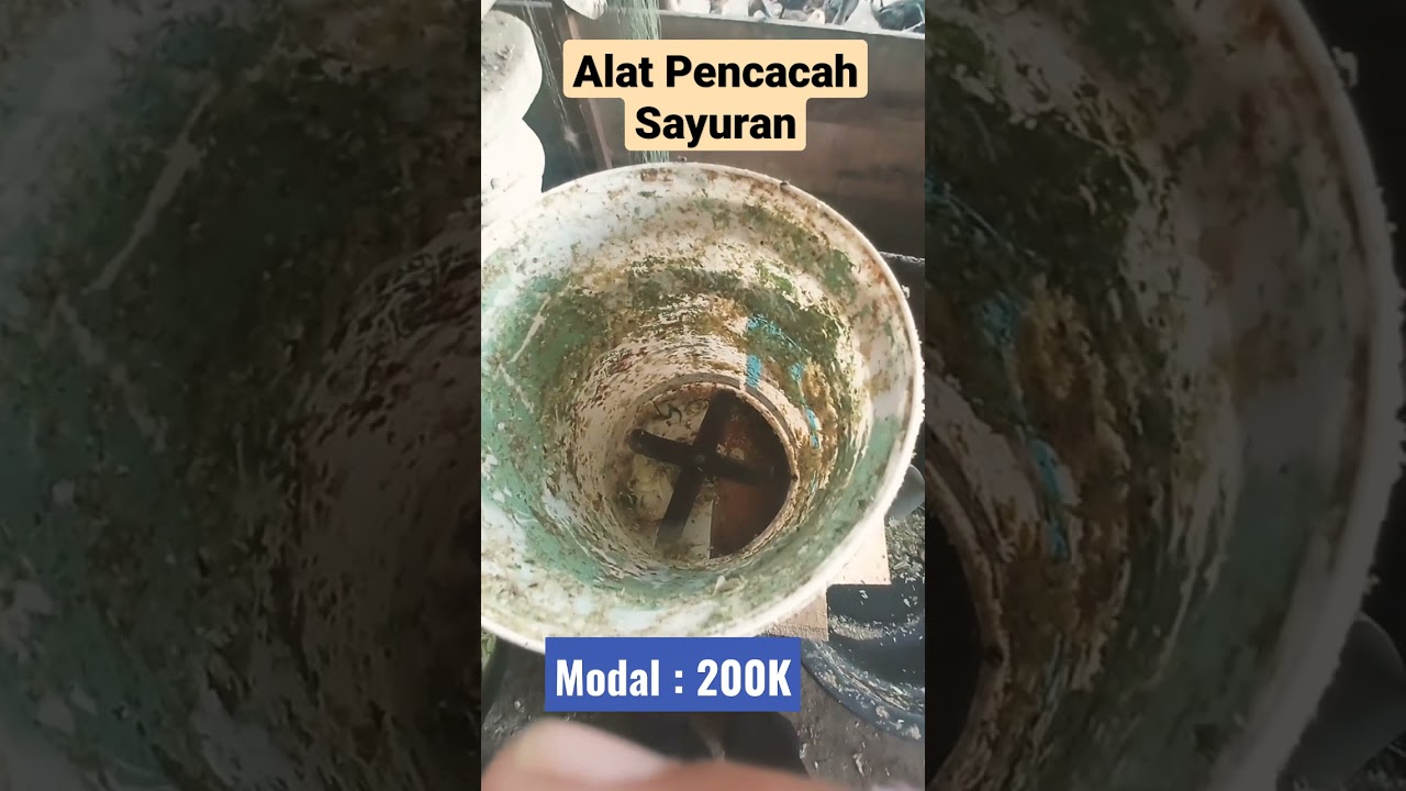 TTG : ALAT PENCACAH SAYURAN SEDERHANA