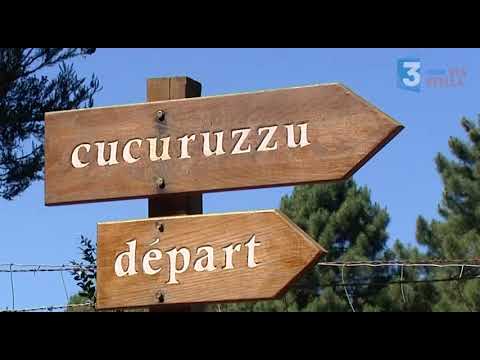 Image du reportage TEMPI FA TEMPI d'OGHJE : ARCHEOLOGIE : La PREHISTOIRE en CORSE (France 3 Corse ViaStella)