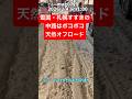 冬の北海道札幌市すすきの中心部・人気ラーメン店けやきの中通り