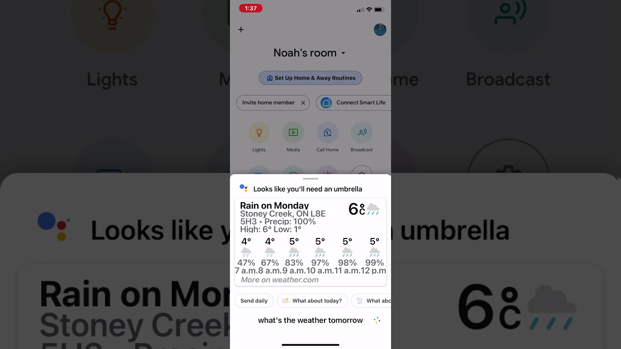 Google home Christmas jokes