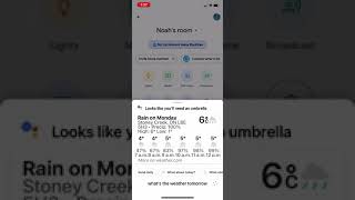 Google home Christmas jokes