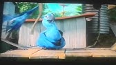 Rio 2 Tiago Stop Fooling Around Updated Youtube