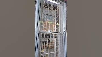 HST Electronic Universal Testing Machine With Full Protective cover #machine #bending #compression