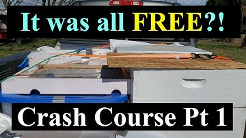 Beekeeping Crash Course on the Homestead - Beekeeping for Beginners Part 1