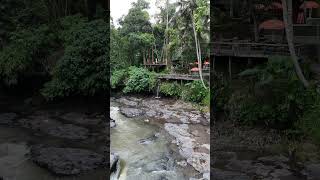🌴 Drone view over an incredible waterfall in Bali 🇮🇩🌊 #bali #travel #baliescape #indonesia #drone