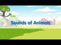 Sounds of Animals