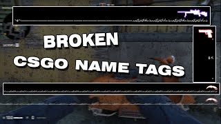 Secret CSGO NameTag 'Exploit' │ FunkyPigeon