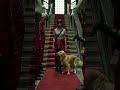 La Casa De Papel
