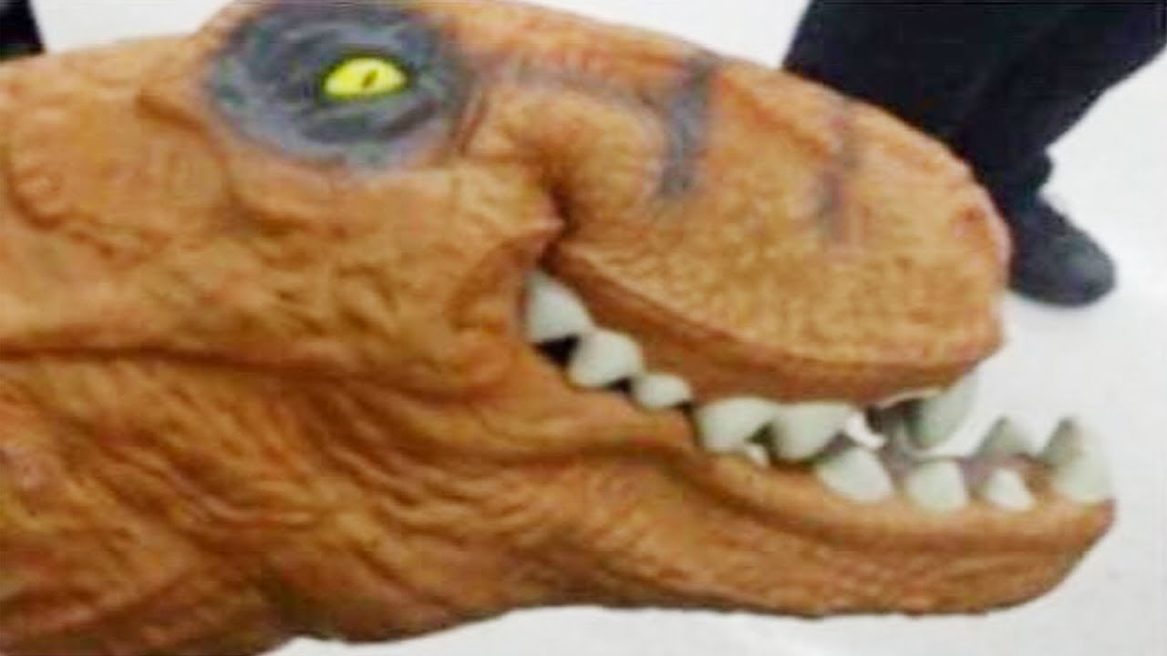 Meine Lieblings Memes