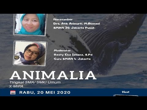 Video: Glochidium digunakan untuk apa?