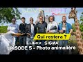 Photo animalire lovelight challenge p05  lcart se creuse 