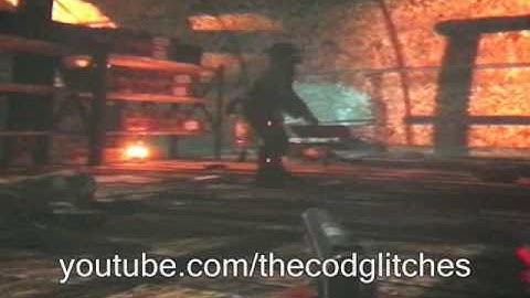 Call of Duty World at War Nazi Zombie - Shi No Numa Barrier glitch