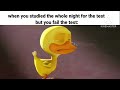 Duck crying meme