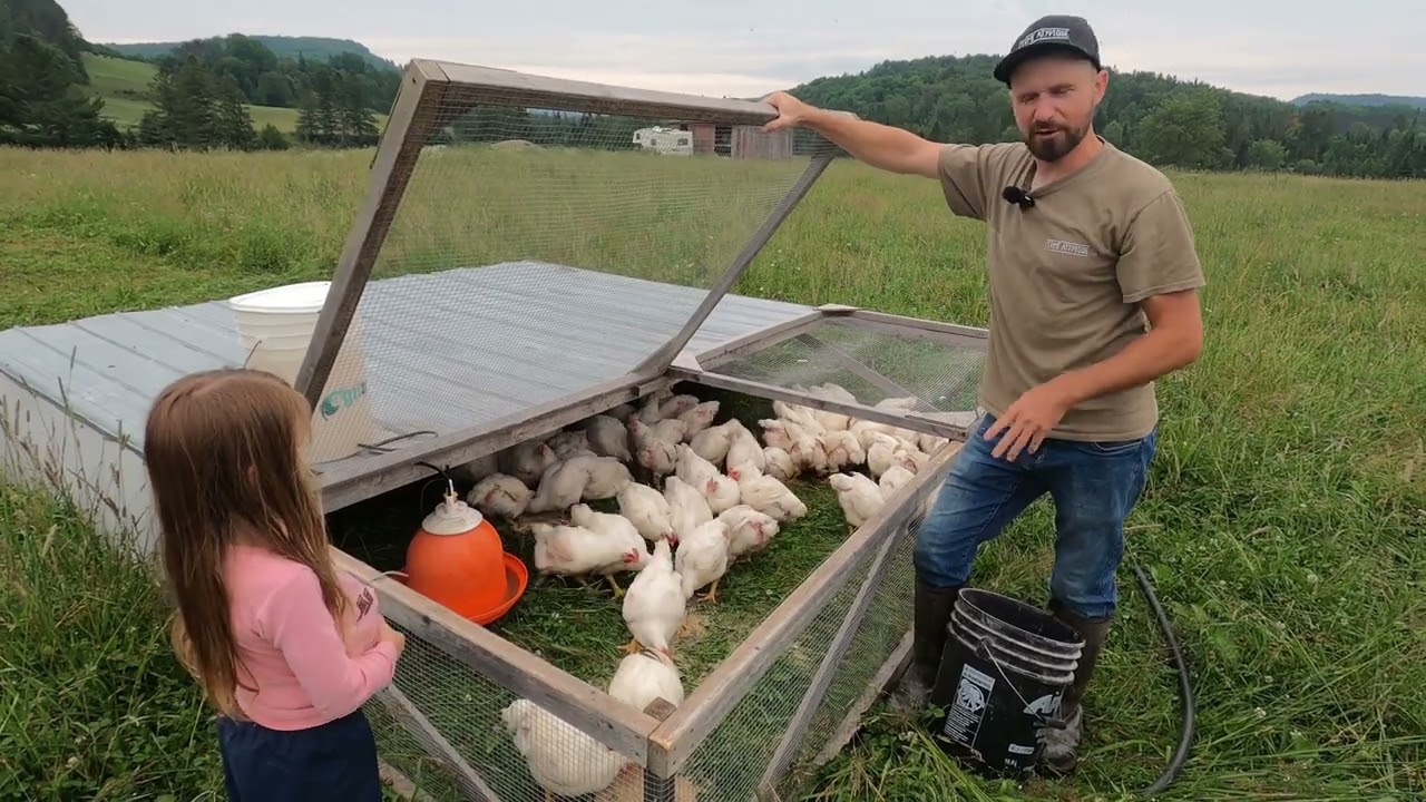 Les Poulets Atypiques !