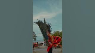 story wa, reog Ponorogo